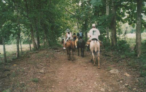 rutas a caballo asturias,rutas a caballo en asturias picos de europa.hipico,hipica